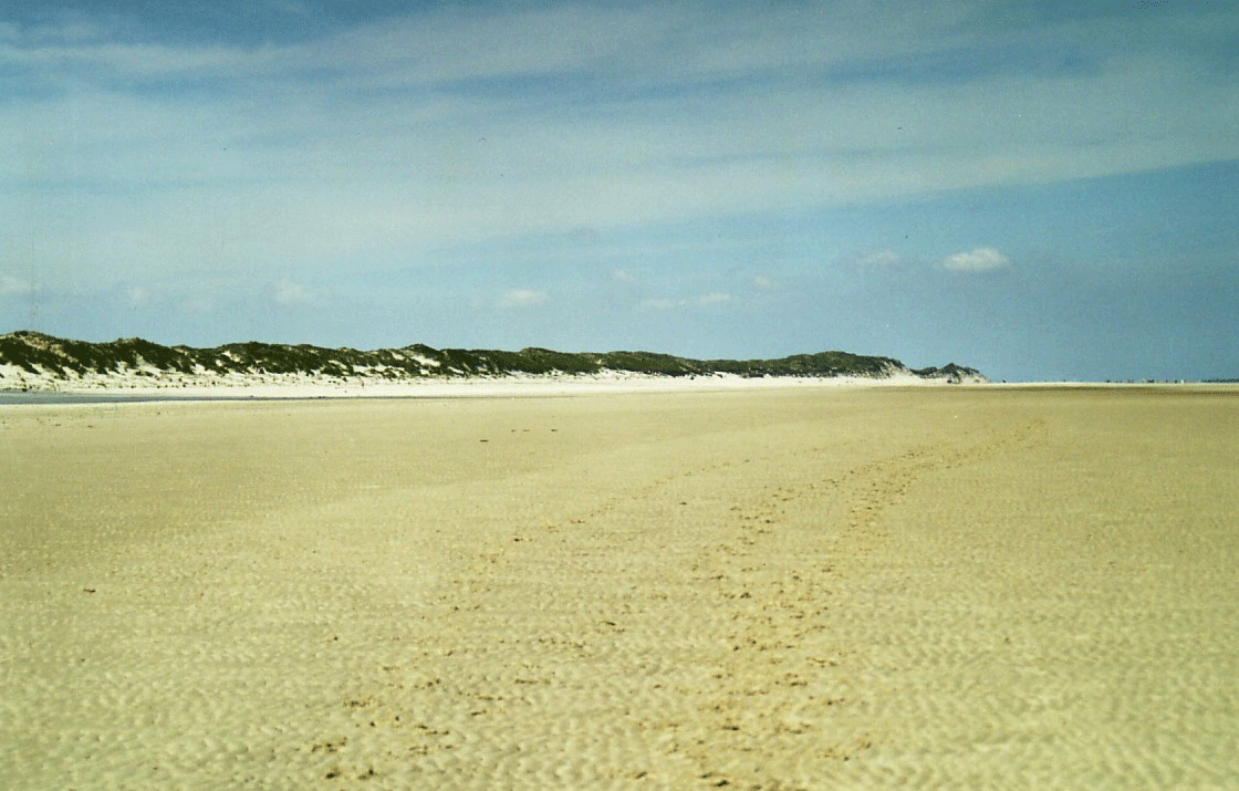 D&uuml;nenlandschaft